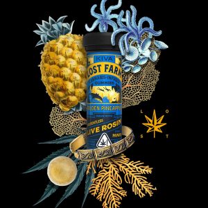 Golden Pineapple Gummies