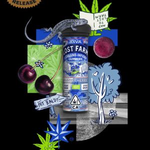 Black Cherry THC Gummies