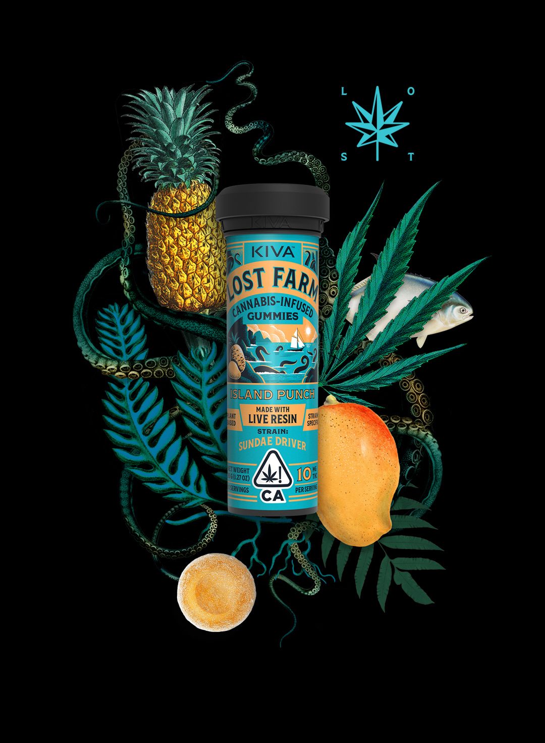Tropical Punch Cannabis Gummies