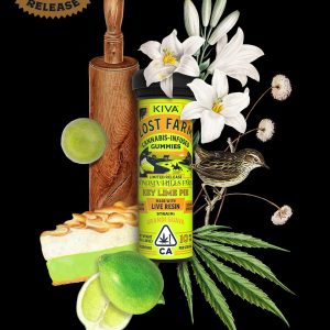 Key Lime THC Gummies