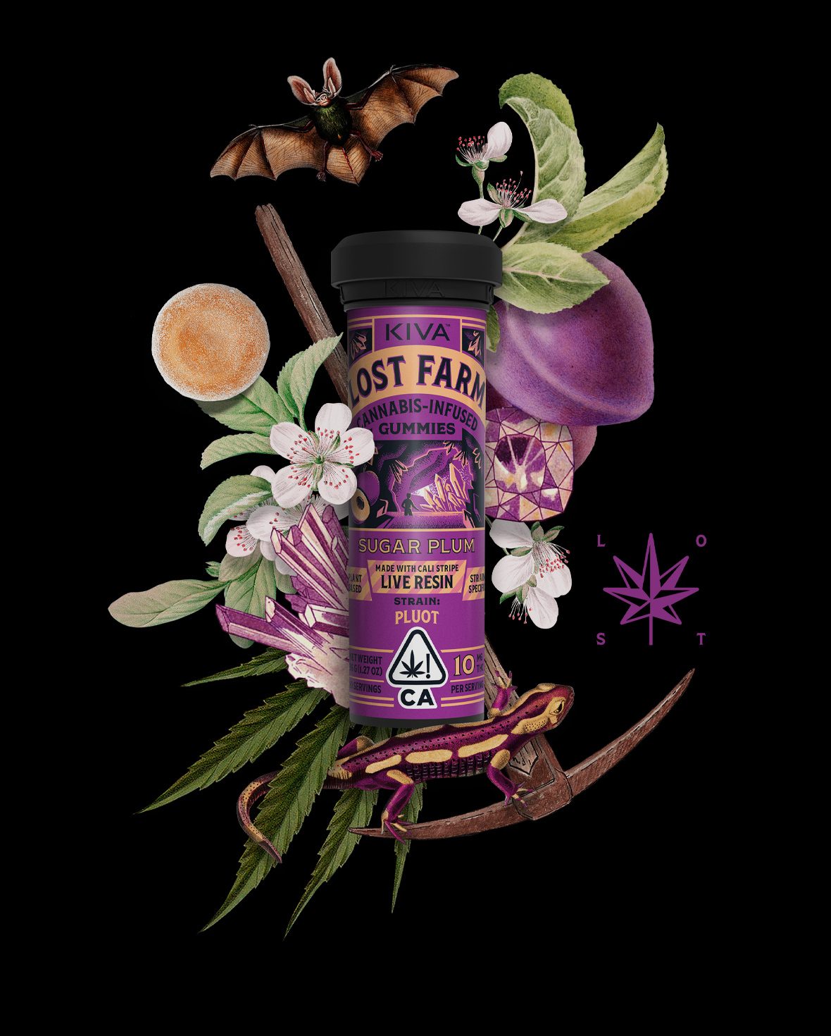 Sugar Plum Cannabis Gummies