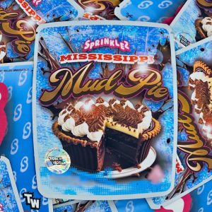 Mississipi Mud Pie 2