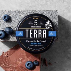 Blueberry Terra Bites